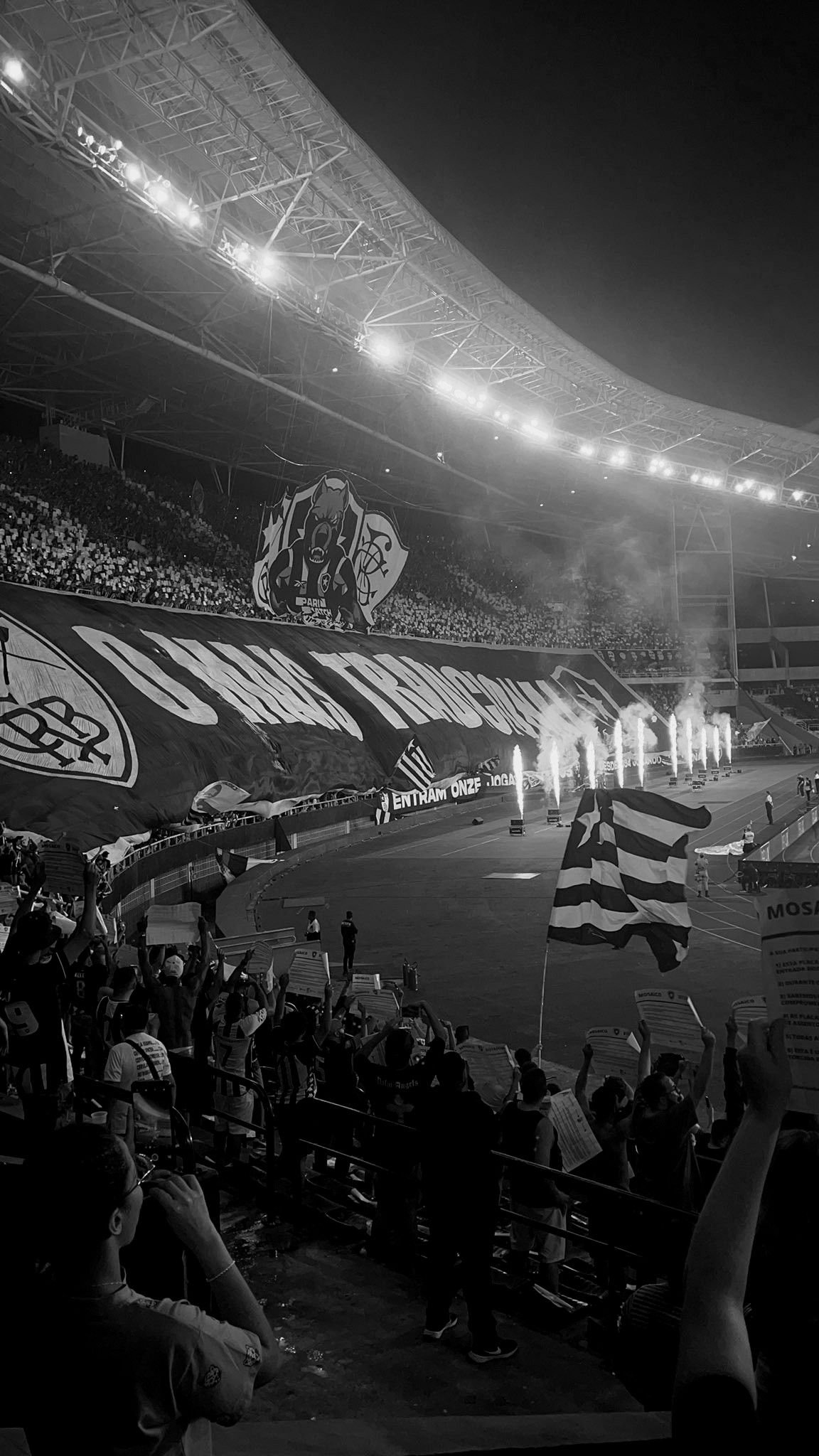 Arquibancada do Nilton Santos lotada pela torcida do Botafogo