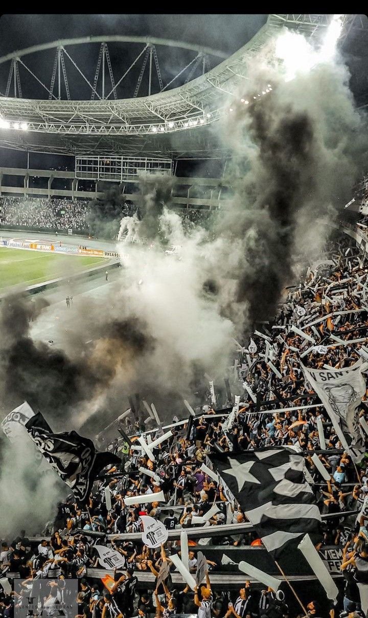 Torcida do Botafogo no Estádio Nilton Santos em dia de jogo