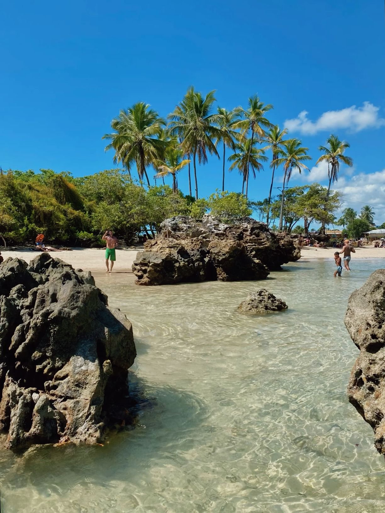 Praia com coqueiros e piscinas naturais